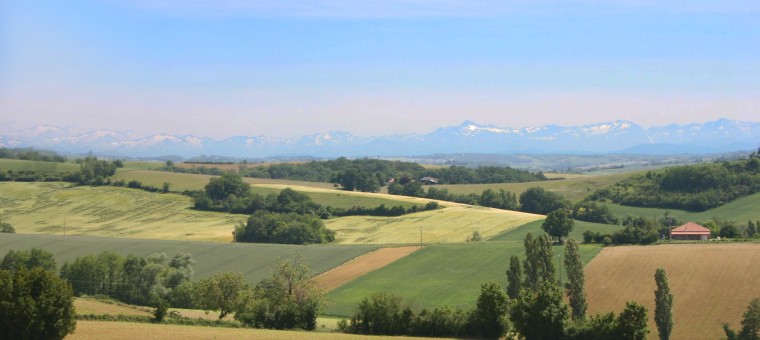 paysage mont.jpg