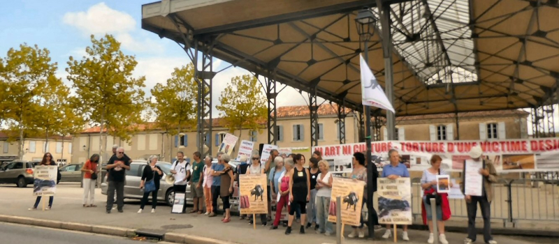 Les anti-corridas  fidèles à leur contestation