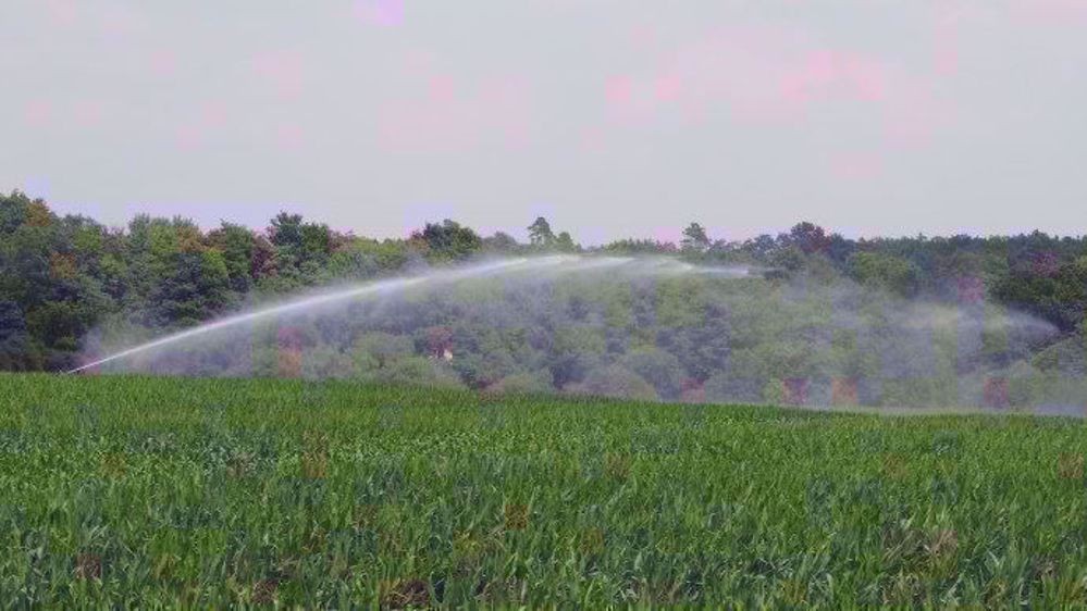 irrigation_redim-1000x562.jpg