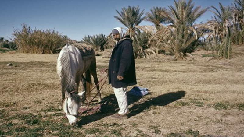 Autour de l'exposition de Driss Aroussi«Rihla fil wãha»