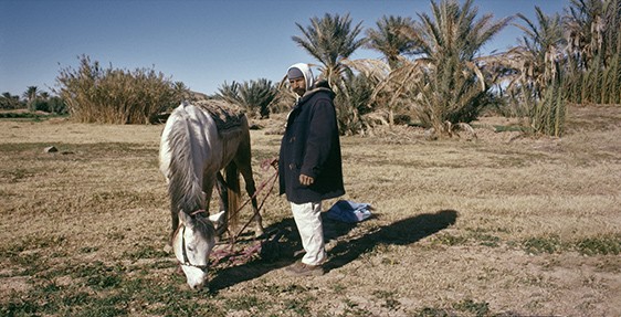 Driss Aroussi, El haouda o moulaha, 2017 © ADAGP / Driss Aroussi Rihla fil wãha