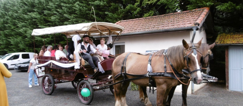 56 ans après, Simone et Robert se sont dit "oui" à nouveau