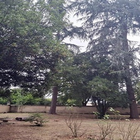 parc sous préfecture.jpg