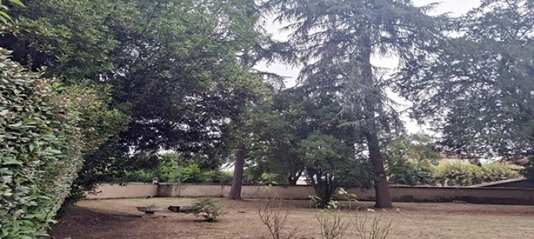 parc sous préfecture.jpg