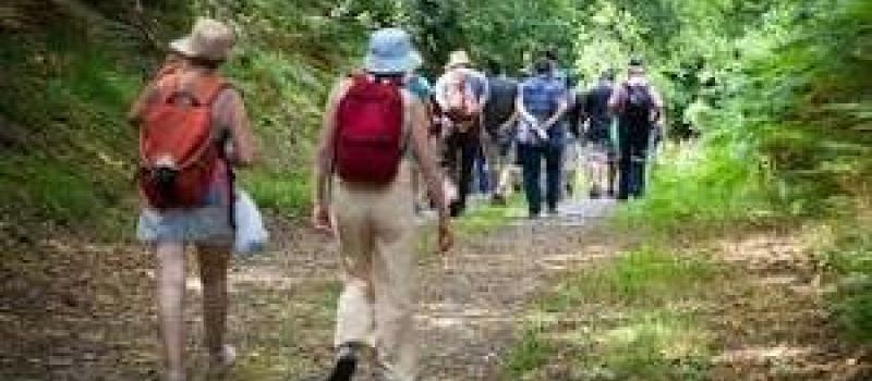 Bientôt « Balades découvertes» en Val de Gers