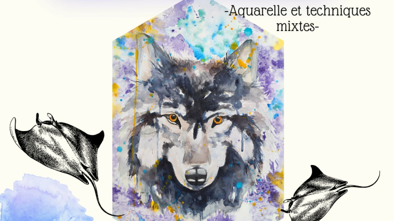 Nouvelle exposition à la médiathèque de Seissan