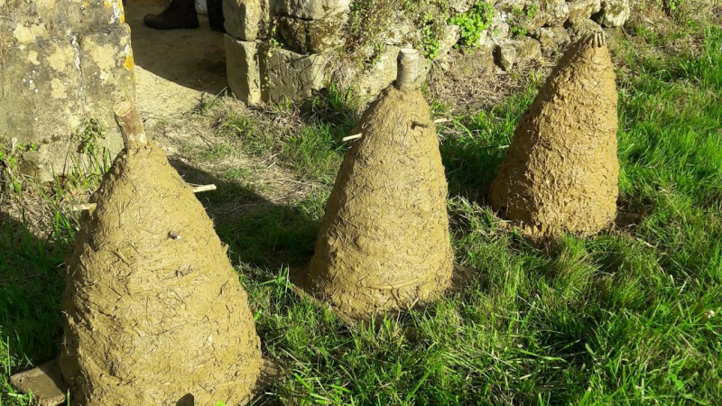 Venez fabriquer votre ruche traditionnelle !