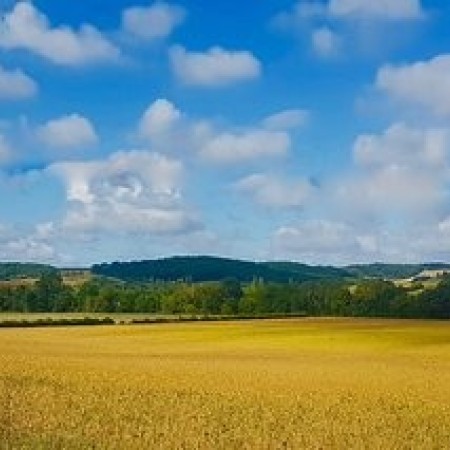 campagne-gersoise.jpg