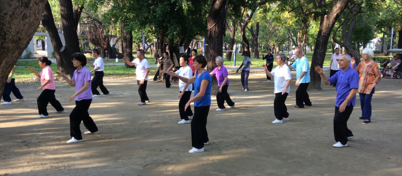 Reprise des cours du Club «Autour du Tai Chi, la Beauté du geste» ce lundi !
