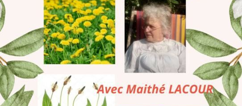 L’atelier botanique a repris
