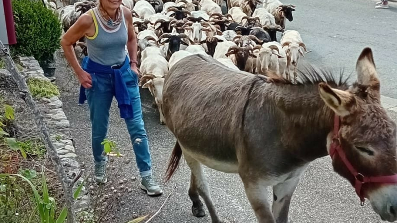 Une transhumance conviviale entre nature et traditions