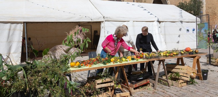 Eauze, fête de la pomme, animations scolaires