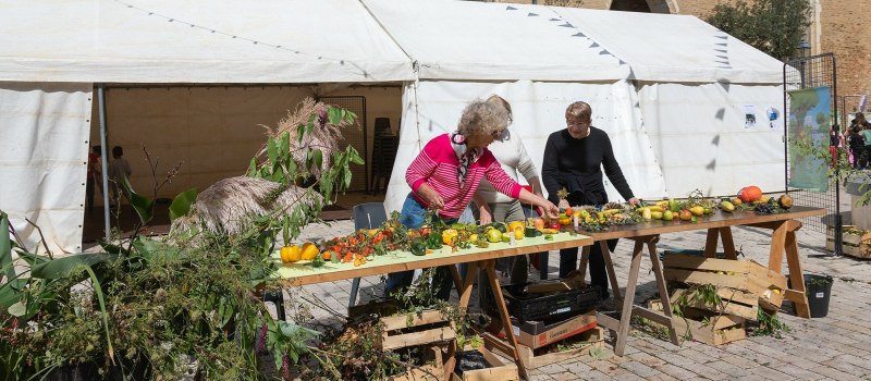 Eauze, fête de la pomme, animations scolaires