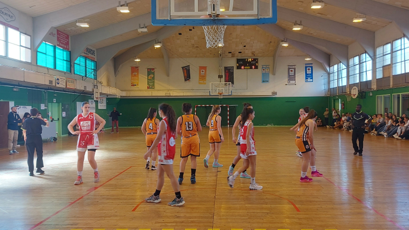 UAV Basket : les belles victoires du  week-end !