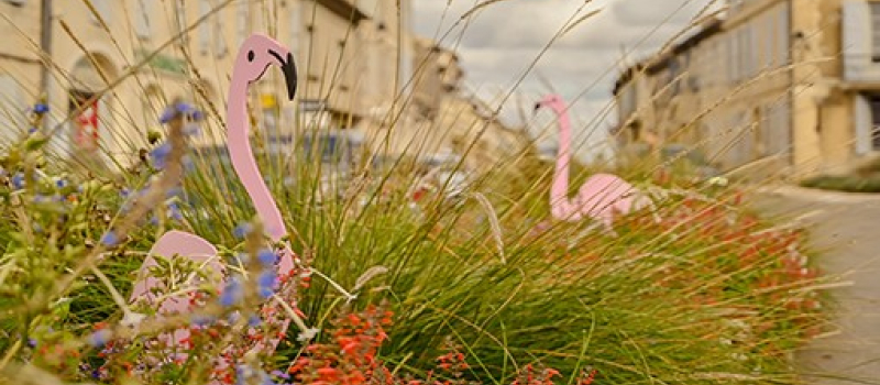 La ville au diapason d'octobre rose
