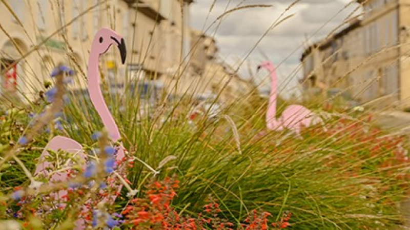La ville au diapason d'octobre rose