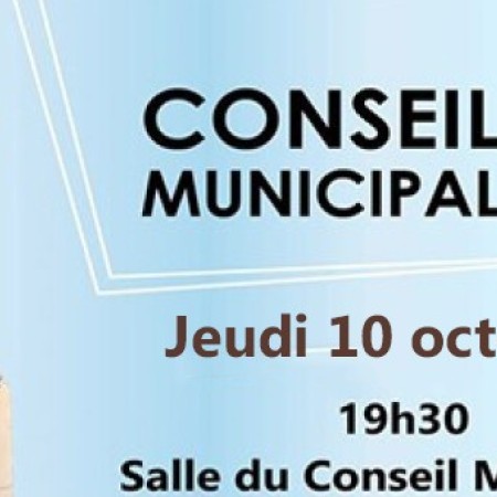 condom conseil municipal.jpeg