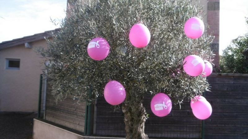 Mobilisation des principales associations pour Octobre rose