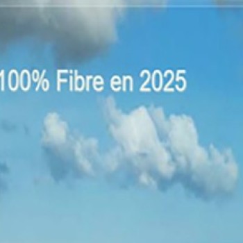 gersfibre.JPG