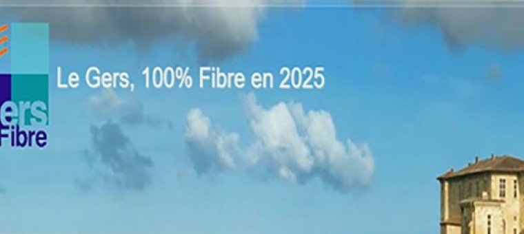 gersfibre.JPG