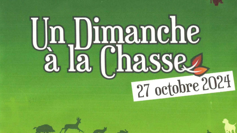 Un dimanche à la chasse