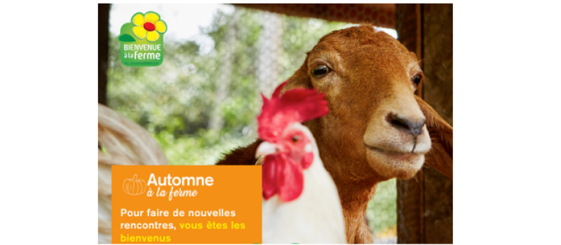 "Automne à la ferme", agenda d'octobre à décembre dans les fermes et domaines du Gers