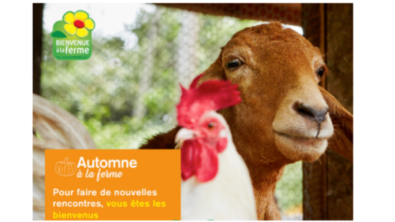 "Automne à la ferme", agenda d'octobre à décembre dans les fermes et domaines du Gers
