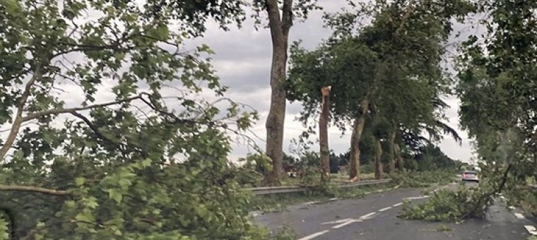 Tempête Kirk : Réouverture de l’ensemble des routes départementales du Gers