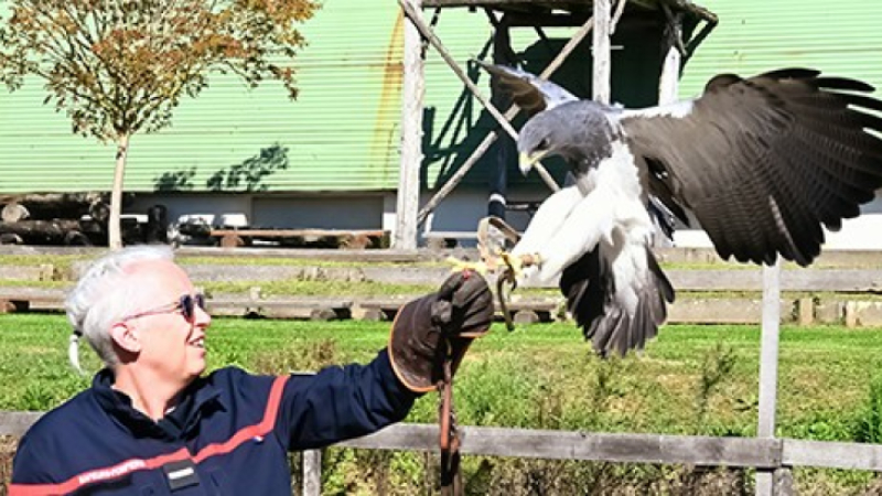 Pompiers et Gendarmes gersois prennent soin de la faune sauvage