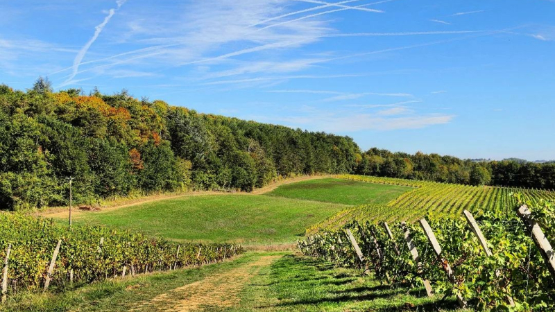 Près de 130 animations dans les vignobles d’Occitanie au cours du Fascinant Week-End