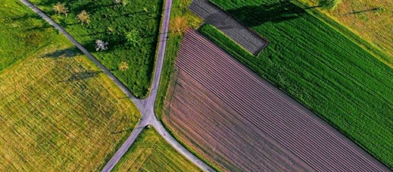 Report de paiement de taxe foncière sur les propriétés non bâties pour les propriétaires d’exploitations agricoles