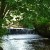 Gestion des bords de rivières et cours d'eau