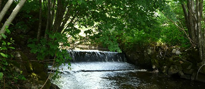 Gestion des bords de rivières et cours d'eau