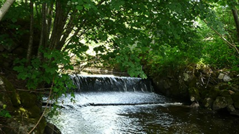 Gestion des bords de rivières et cours d'eau