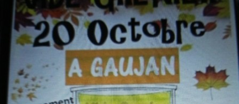 Vide grenier à GAUJAN