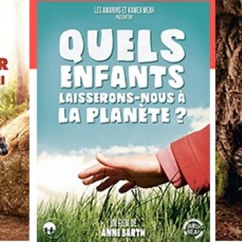 terre et pierre affiches.jpg