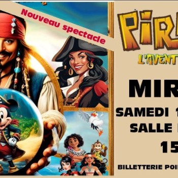 pirates affiche.JPG