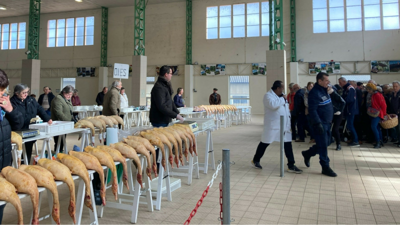 Dimanche faites la grasse matinée