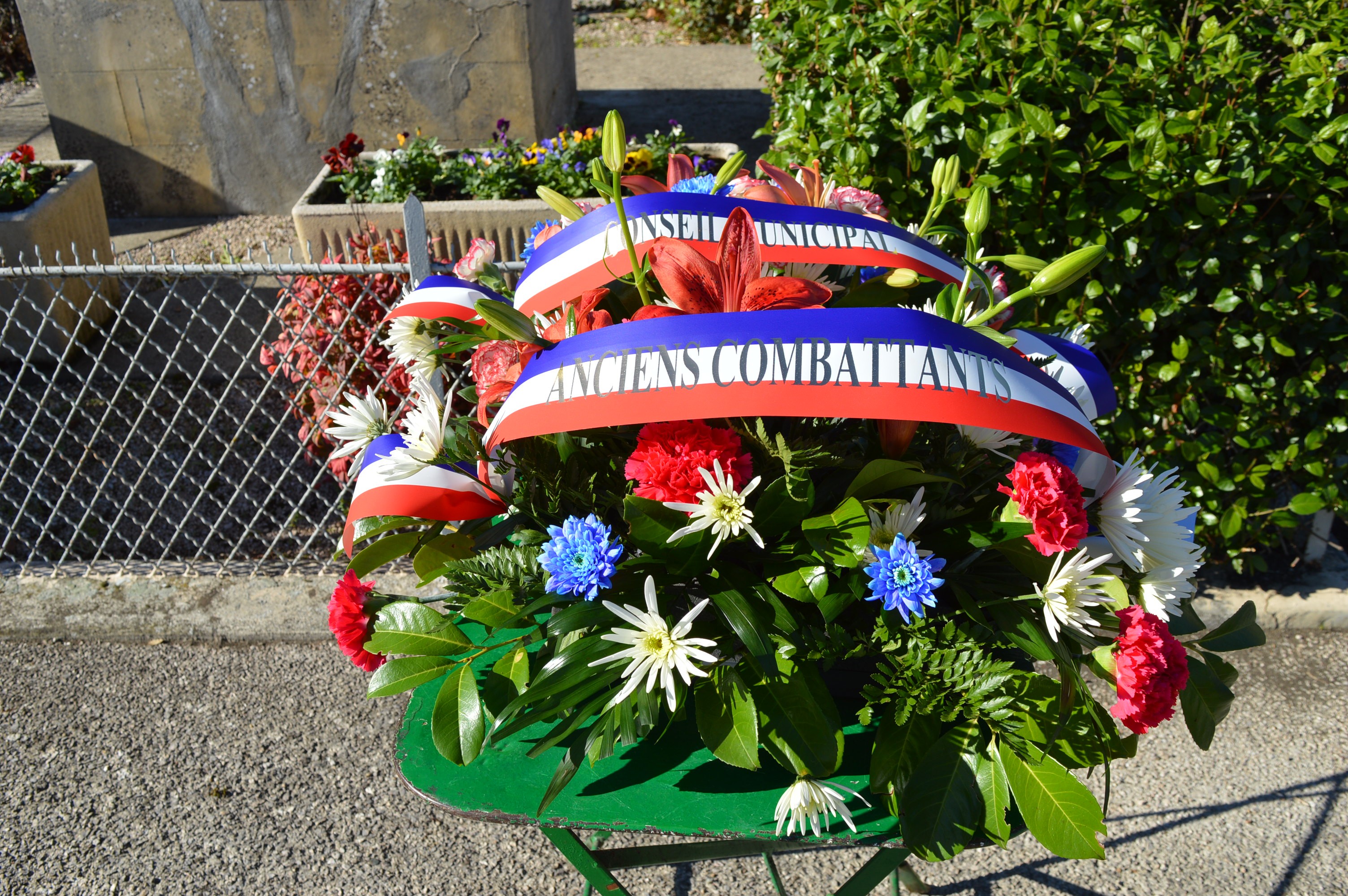 11 Novembre (1).jpg