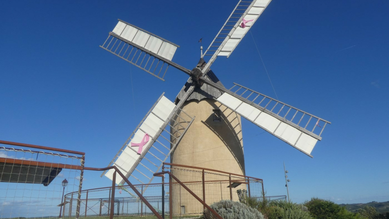Samedi 9 novembre, à partir de 14h avec les Amis du Moulin
