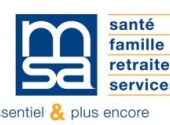 logo msa.jpg