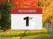 1er NOVEMBRE long.jpg