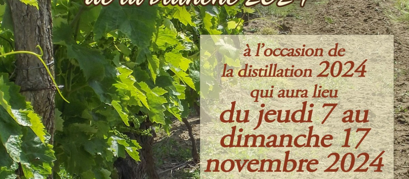 La passion de l'Armagnac