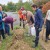 Sélectionné au Budget Participatif Gersois le projet de l'ASPAD, plantations d'arbres adaptés au changement climatique a été bien amorcé