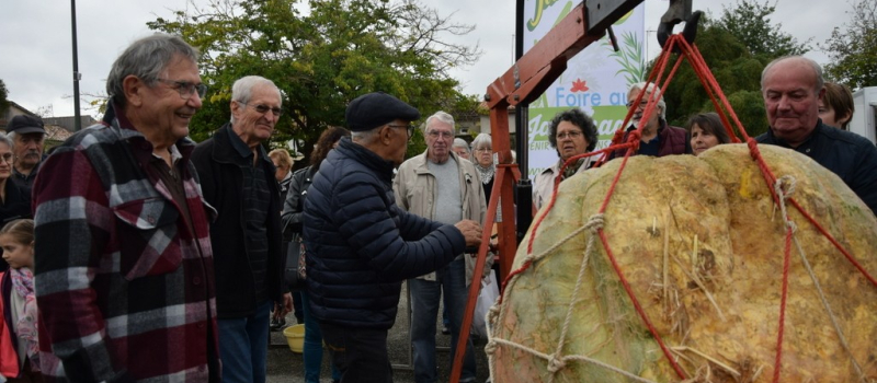 Nouveau record 97 kg pour une citrouille !