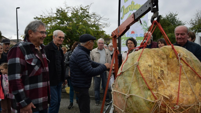Nouveau record 97 kg pour une citrouille !