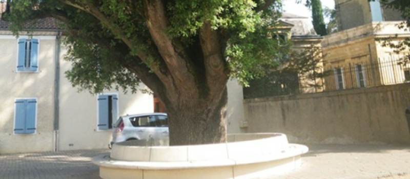 Balade nature dans la sous préfecture
