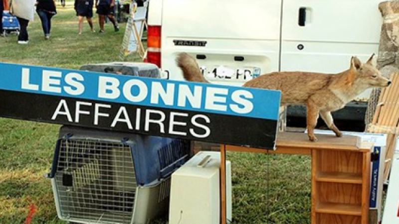 Les vides greniers du Gers et autour