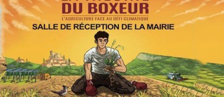 0000000000000000  montesquiou boxe.jpg