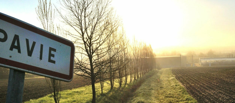 Avec envie nous irons à Pavie
